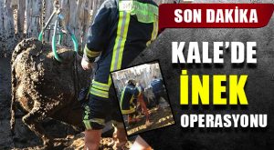 Kale’de İnek Kurtarma Operasyonu