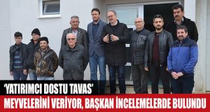 Tavas’ta Yatırımlar ‘Meyvelerini’ Veriyor