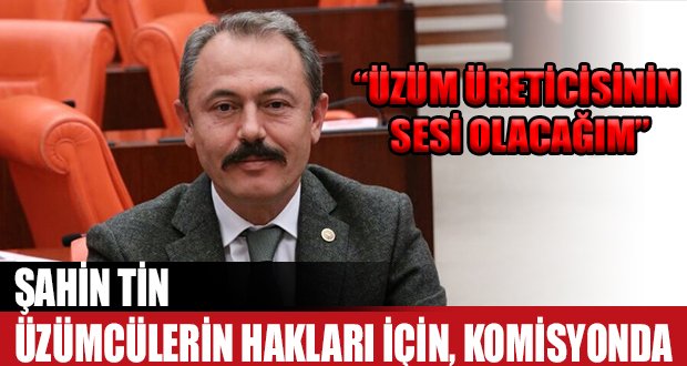 Üzümcüler İçin Komisyon Kuruldu