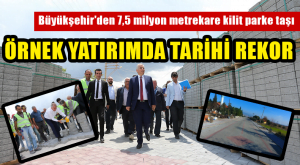 ÖRNEK YATIRIMDA TARİHİ REKOR