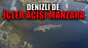 Denizli’de İçler Acısı Manzara