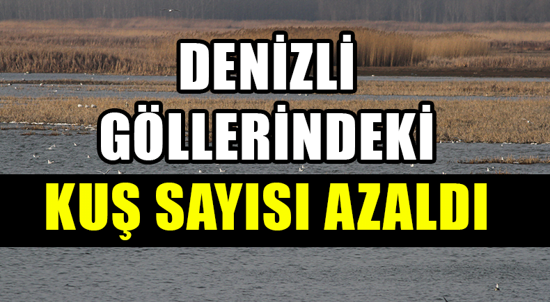 Denizli Göllerindeki Kuşlara Ne Oluyor?