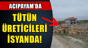 TÜTÜN ÜRETİCİLERİ İSYANDA!