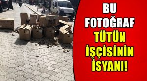 Tütün Üreticisi İsyan Etti