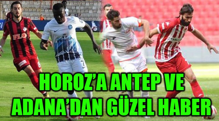 Hozor’a Adana ve Antep’ten Güzel Haber