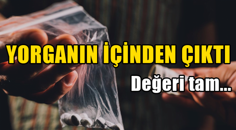 YORGANIN İÇİNDEN ÇIKTI