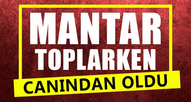  Mantar Toplarken Canından Oldu  