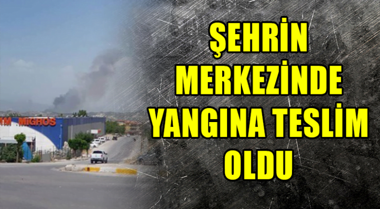 Denizli’de Orman Yangını