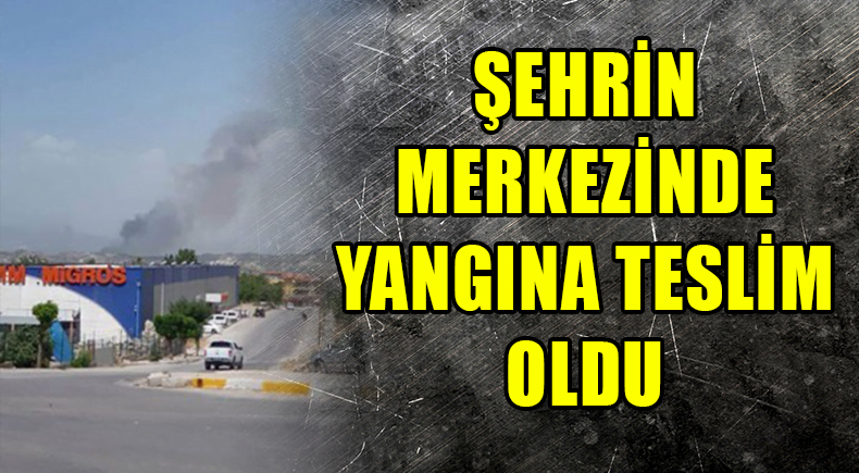 Denizli’de Orman Yangını