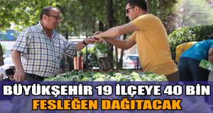 Büyükşehir’den 40 bin fesleğen