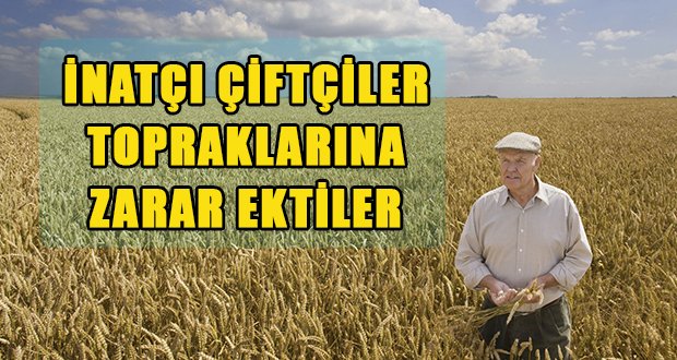 Çiftçinin Aynı Ürün Israrı Toprağı Bitiriyor