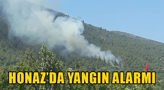 Honaz’da Yangın!