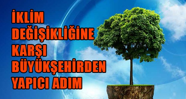 Meclis Üyelerine, İklim Değişikliği Eylem Planı Anlatıldı