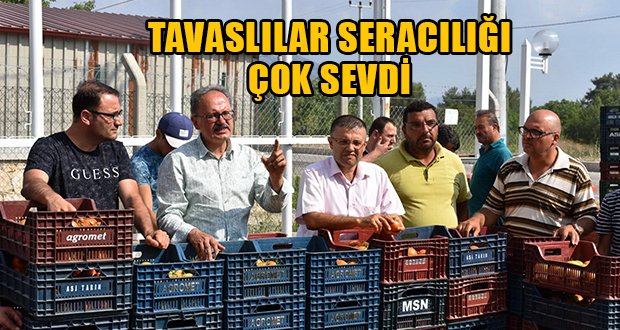 Tavas Seracılığı Çok Sevdi