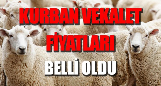 2018 Yılı Kızılay’ın Kurban Vekalet Fiyatları Belli Oldu