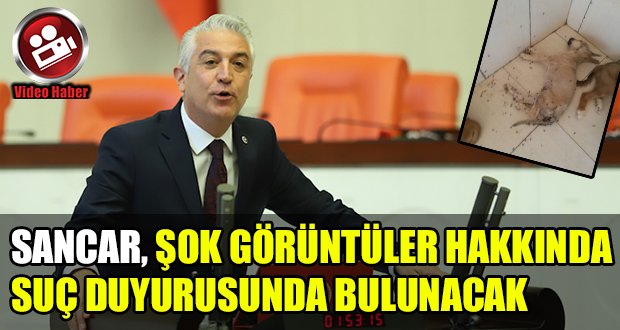 Sancar, Büyükşehir Hayvan Barınağı Hakkında Suç Duyurusunda Bulunacak