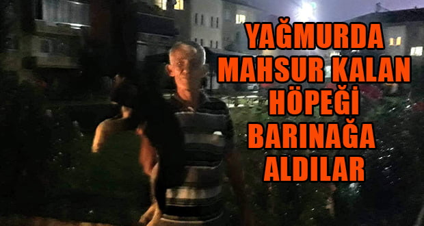 Yağmurda Kalan Yavru Köpeği Barınağa Aldılar