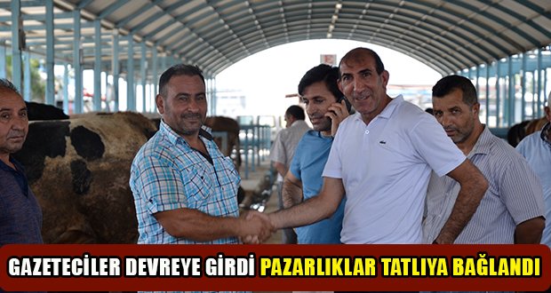 Denizli’de Kurbanlık Hayvan Alışverişleri Hızlandı