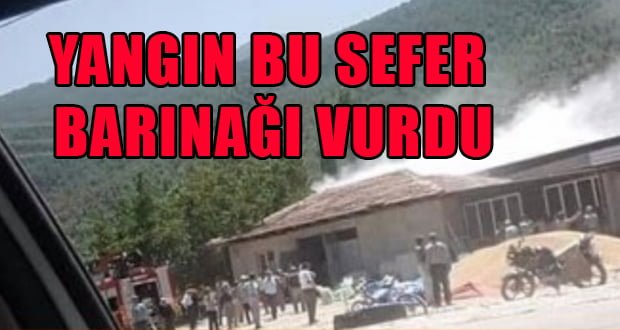 Denizli’de Barınak Yangını