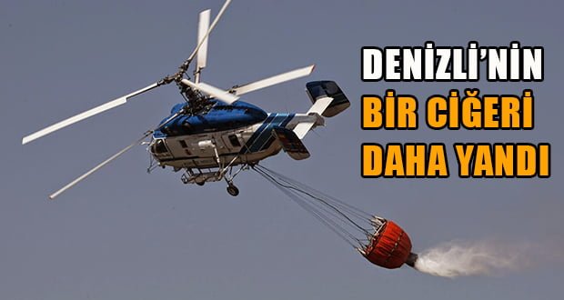 Denizli’de Orman Yangını