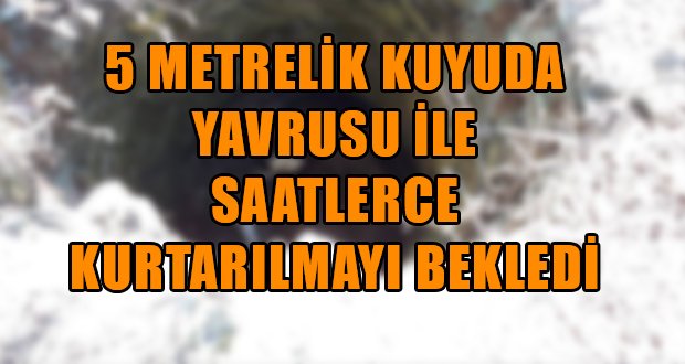 5 Metre Kuyuda Mahsur Kaldı