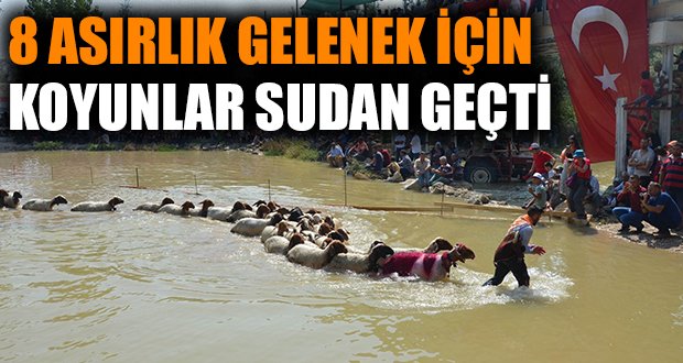 Denizli’de 8 asırlık “Sudan Koyun Atlatma Yarışması” başladı