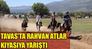 6. Tavas Kızılca Rahvan At Yarışlarına İlgi Büyüktü