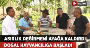 Asırlık Değirmeni Ayağa Kaldırdı Doğal Hayvancılığa Başladı