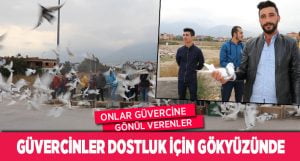 500 Güvercin Dostluk için Gökyüzünde