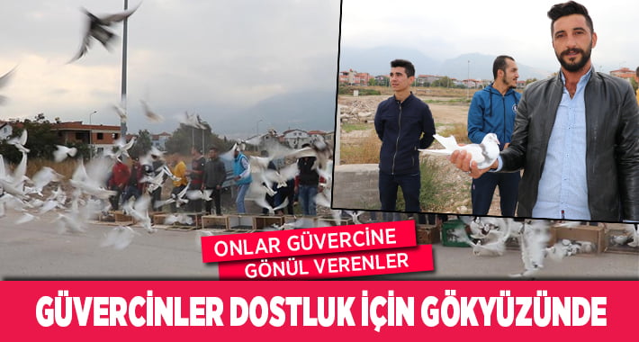 500 Güvercin Dostluk için Gökyüzünde