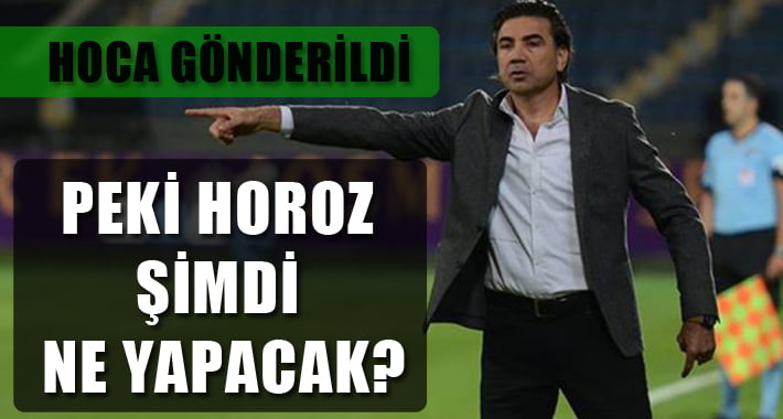 Horoz’da Hoca Gitti, Peki Şimdi Ne Olacak?