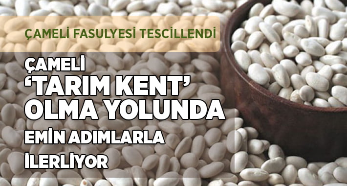 Çameli, ‘Tarım Kent’ Olma Yolunda