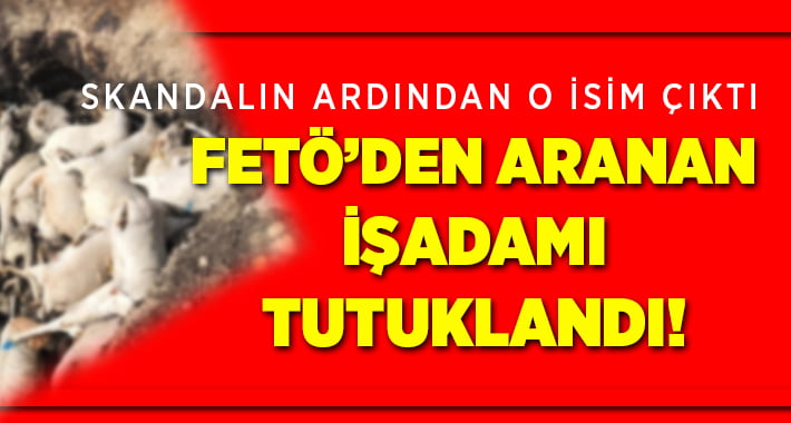 FETÖ’den Aranan İş Adamı Tutuklandı!