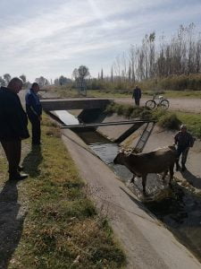 Çivril Zabıtası Hayat Kurtardı