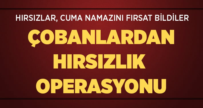 Çobanlardan Hırsızlık Operasyonu!