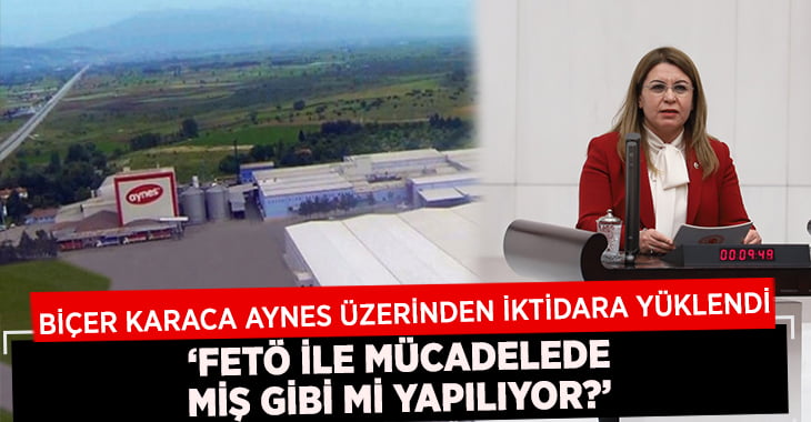 Biçer Karaca ‘Aynes’ Üzerinden Hükümete Yüklendi