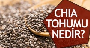 Chia Tohumu