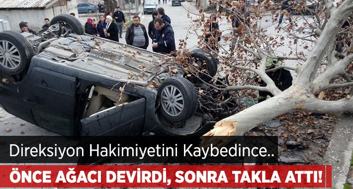 Kontrolü Kaybetti.. Ağacı Devirdi, Takla Attı!