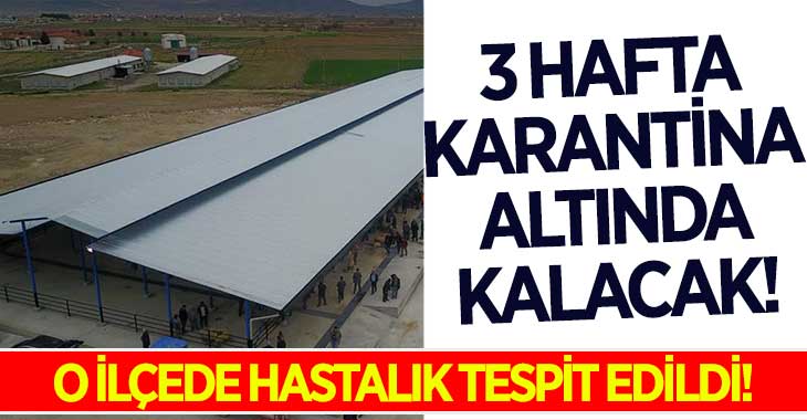 3 Hafta Karantina Altında Kalacak!