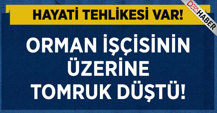 Orman İşçisinin Üzerine Tomruk Düştü!