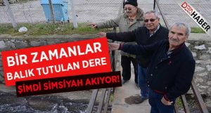 Boya Fabrikası Zararlı Atıklarını Dereye Akıtıyor!