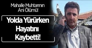 Muhtar Yolda Yürürken Hayatını Kaybetti!