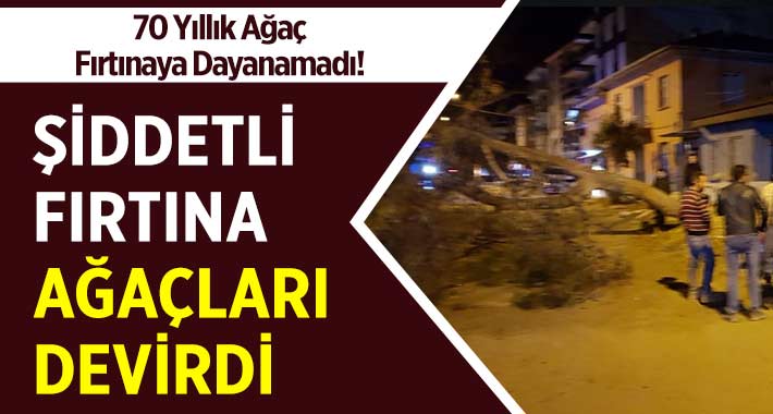 Şiddetli Fırtına Ağaçları Devirdi!