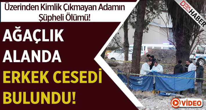 Ağaçlık Alanda Erkek Cesedi Bulundu!