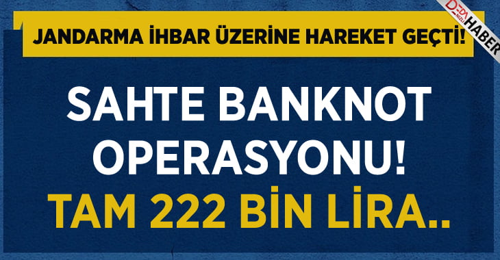 222 Bin TL Sahte Banknot Ele Geçirildi