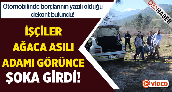 İşçiler Ağaca Asılı Adamı Görünce Şoka Girdi!