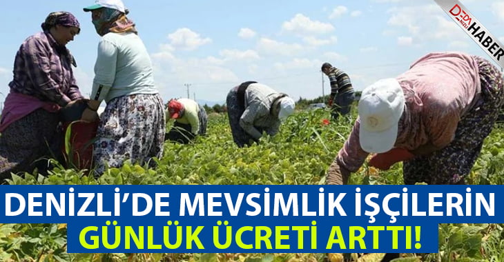 Denizli’de Mevsimlik İşçilerin Günlük Ücretleri Arttı