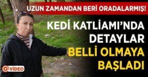 Denizli’deki Kedi Katliamı’nın Detayları Ortaya Çıkmaya Başladı!