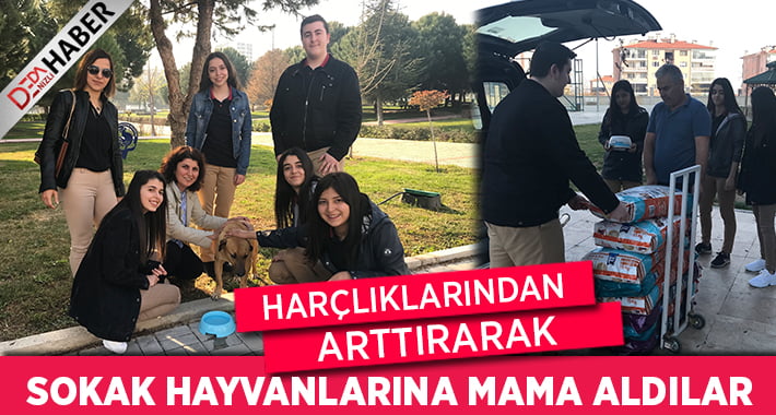 Harçlıklarından Arttırarak Sokak Hayvanlarına Mama Aldılar