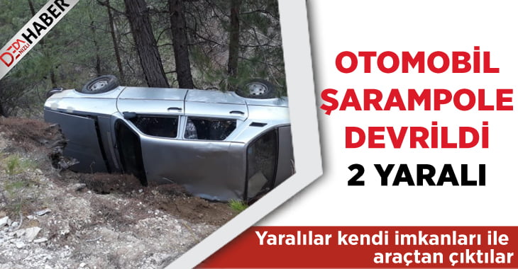 Otomobil Şarampole Devrildi: 2 Yaralı